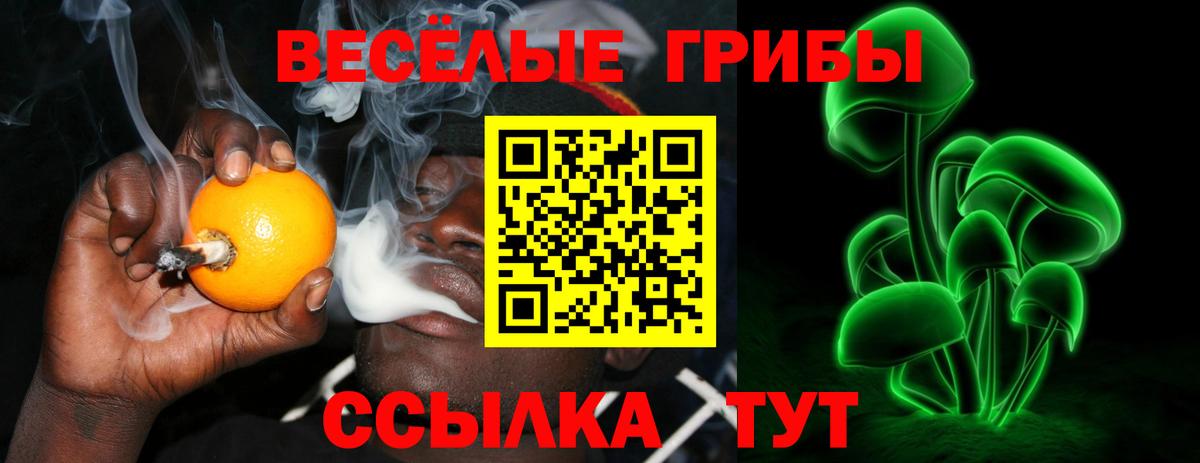 Реж  где купить наркоту  Вход с VPN  Галлюциногенные грибы MAGIC MUSHROOMS 